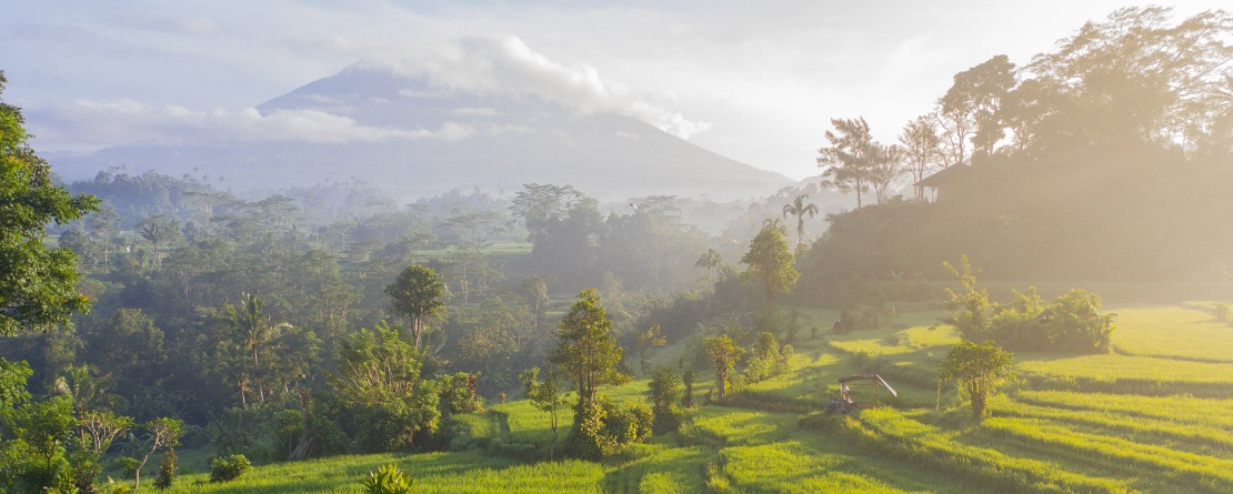 Misty heights of Mount Aguna in Bali